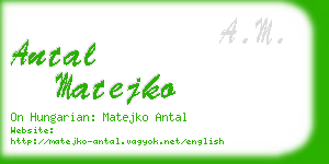 antal matejko business card